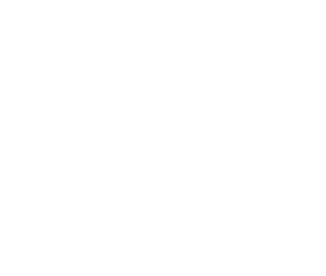FIAT PROFESSIONAL Logo